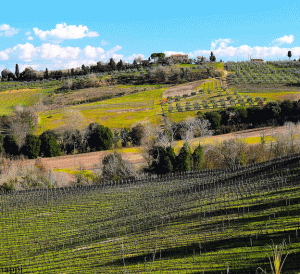 Paesaggio valdelsano